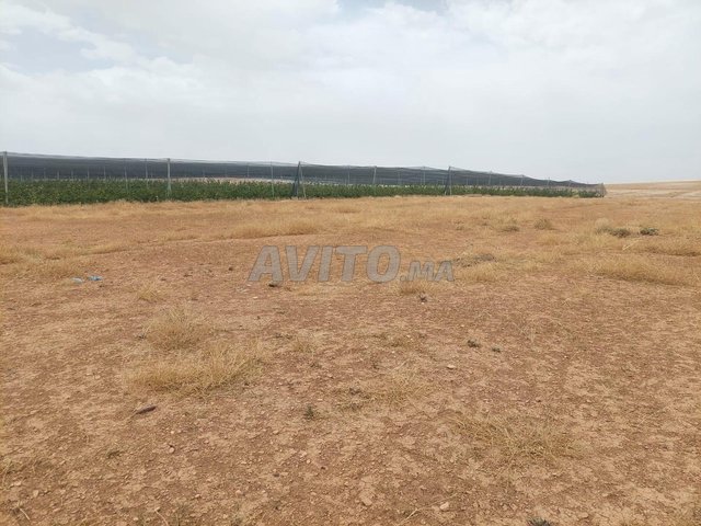 أرض فلاحية محفظة 7 هكتارات نواحي بومية