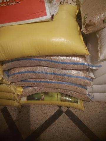 زوان كندا 25 كيلو - 2