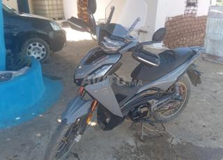 Motor becane spring 2024