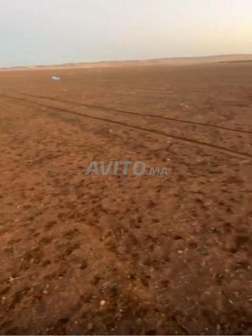 دوار اولاد الحاج خط ازكان اسفي  - 2