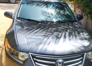 Honda accord platinium 