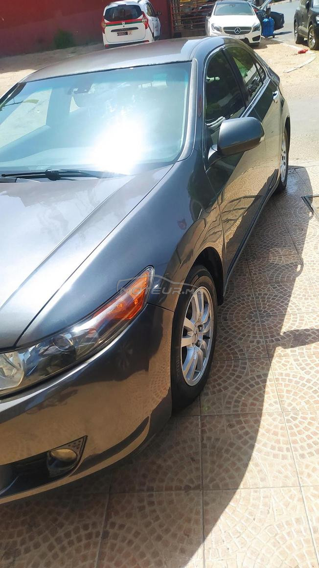 Honda accord platinium 