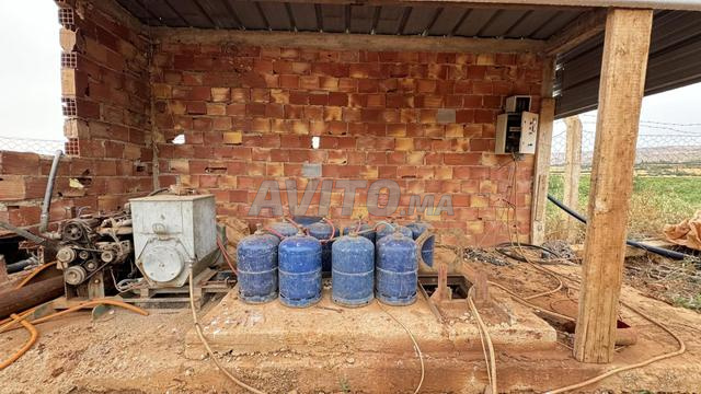 جنة العنب بين الحاجب وبوفكران 9هكتار ونصف - 2