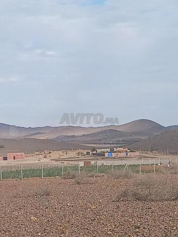 ارض للبيع جماعة بروس تبعد علي مراكش 26k