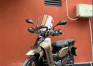 دراجة نارية للبيع Bécane Ribeiro 33