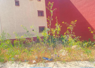 Terrain de 155M Titre A lotissement Alhana2 