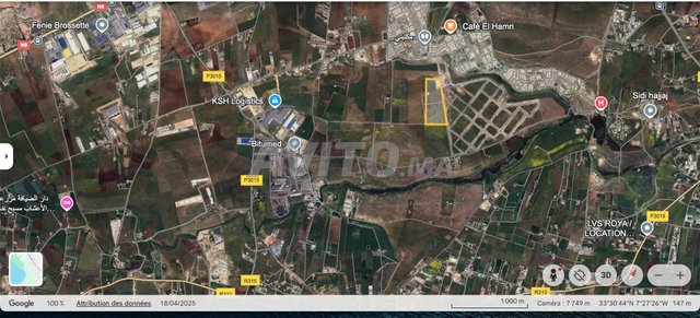 أرض فلاحية 13 هكتار – فرصة استثمارية – مديونة