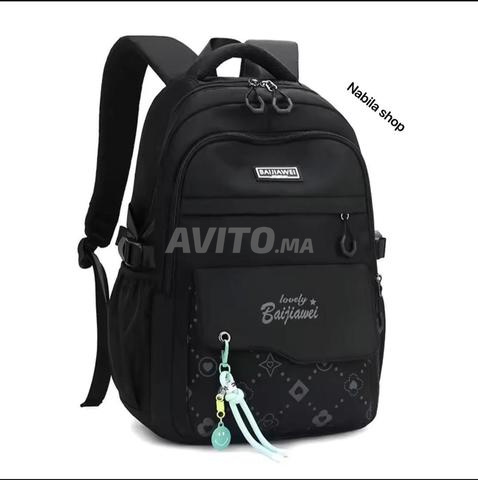 Grande trousse pour l'enseignement primaire, collégial et secondaire - 2