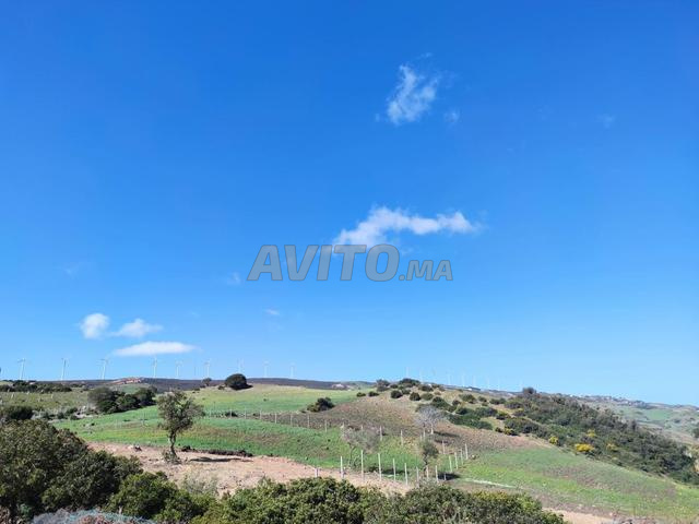 أراضي متعددة للبيع بقرية ملووسة - 2