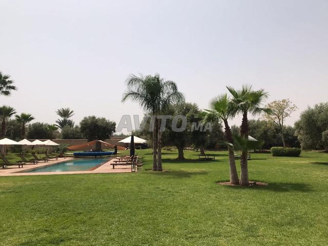 Creation et entretien d'espaces verts et piscines 