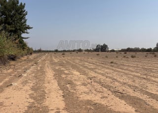 أرض للبيع في سيدي موسى الهمري