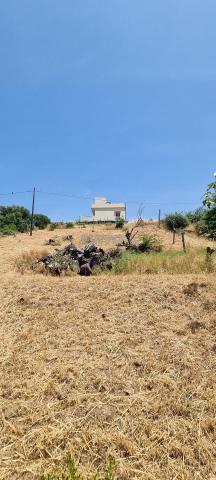 Terrain à vendre dans la région de Melloussa, Mechraa Er-Remmane