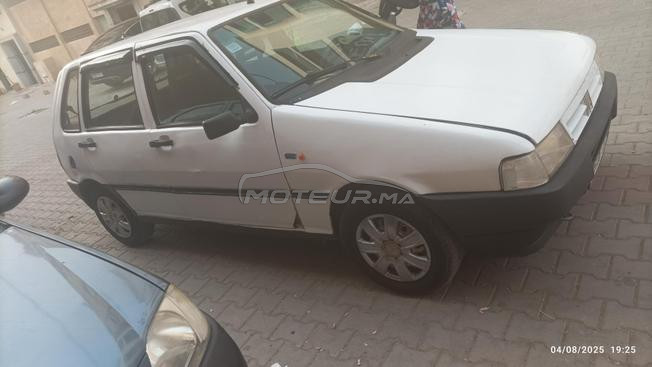fiat uno 