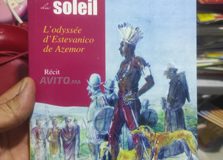 livre le fils du soleil