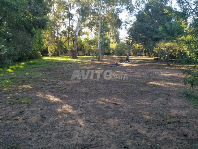 À Vendre Terrain Zone Villa – Rabat Souissi - 2