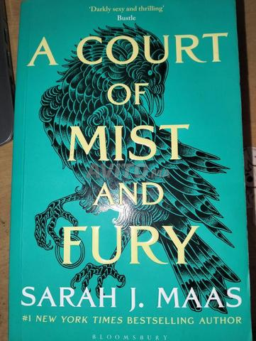 A COURT OF MIST AND FURRY by SARAH J.MAAS