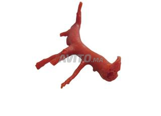 حجر مرجان طبيعي 