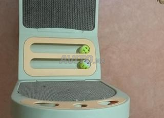 un jeux pour les chat