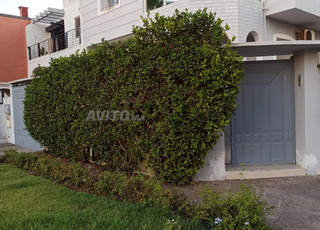 Location Villa à sidi bouzid