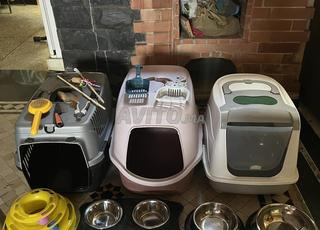 Accessoires pour chat