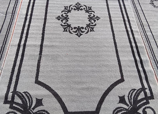 زاربيات نقين 