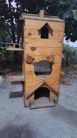 Grande maison en bois pour chat solide et durable