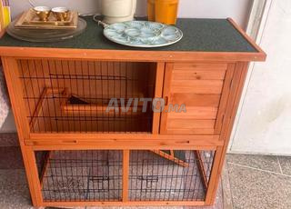 Grand cage polyvalent pour petit animal 