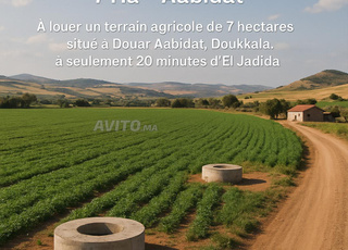 À louer - terrain 7 Ha, 2 puits-El Jadida
