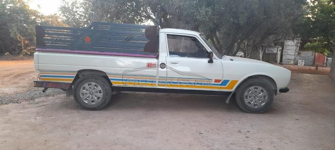 Peugeot 504 Diesel Manuelle 1996 à Berkane