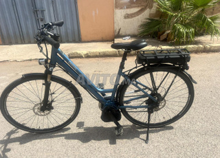 velo eletrique boshe mark 🇨🇭 suisse