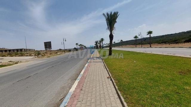 Terrain 8000 m2 constructible rare à Tanger - 2