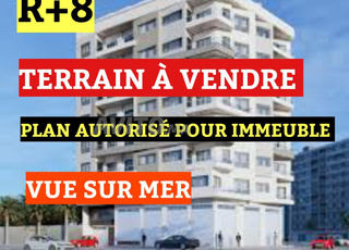 Terrain 8000 m2 constructible rare à Tanger