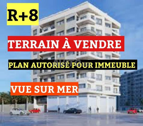 قطعة أرضية بمساحة 8000 متر مربع قابلة للبناء نادرة في طنجة
