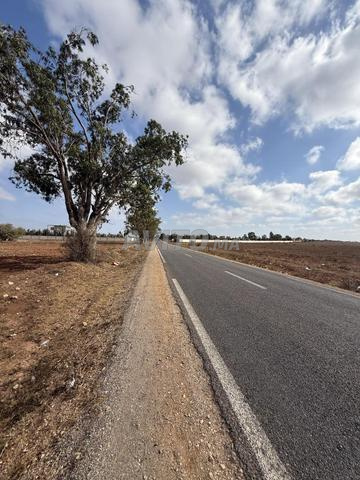 hectar et 2500metre titré emplacement stratégique 