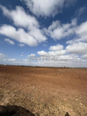 hectar et 2500metre titré emplacement stratégique  - 2