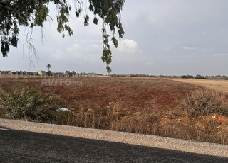 Terrain 1 Hectare Sidi Rehal