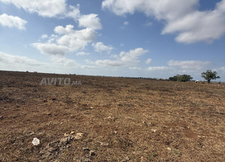 Hectare titré emplacement extraordinaire