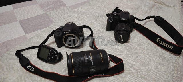 Canon 100D, 550D, Sigma 105mm & Godox X Pro