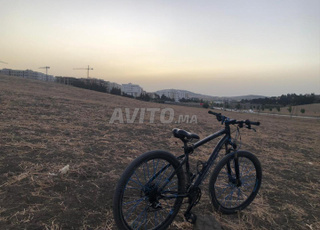 BETWEEN ROCKRIDER 520