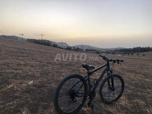 بين روكرايدر 520