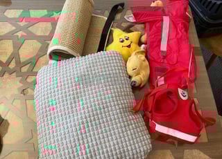 accessoires pour chat