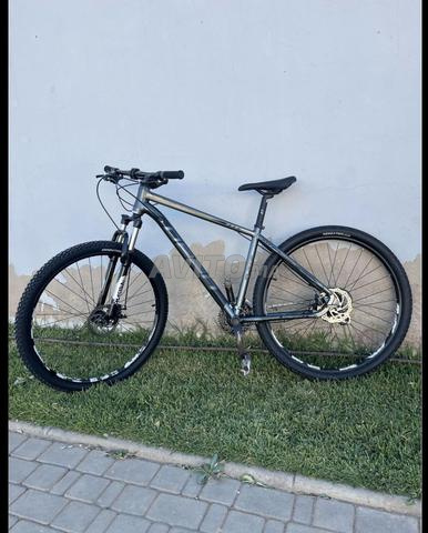 bike 29 cadre L