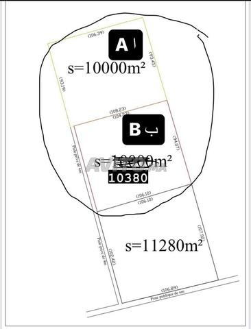 آرض فلاحية للبيع في طريق الگارة (بن سليمان)
