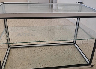 فترينا زاج في حلة جديدة