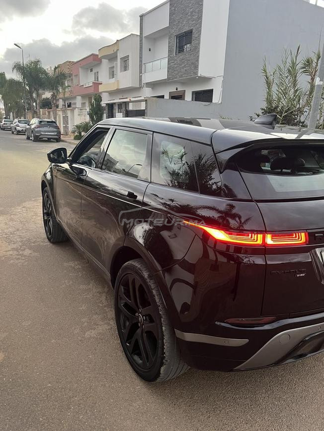 Range rover evoque Bebe velar 
