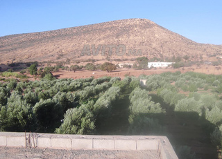 فيرما فلاحية  للبيع 