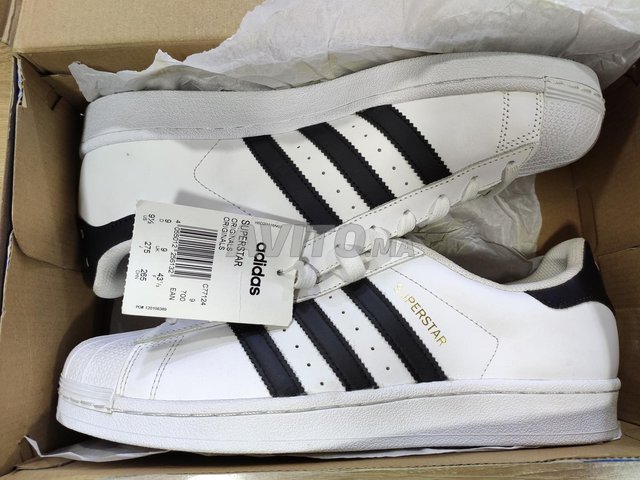 superstar (43⅓) originale 