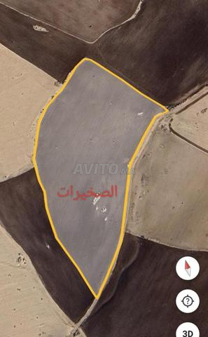 أرض فلاحية محفظة 2 هكتار 51 آر 10 س