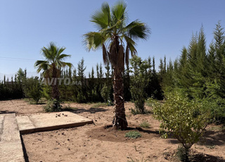 Villa semi finis avec piscine 