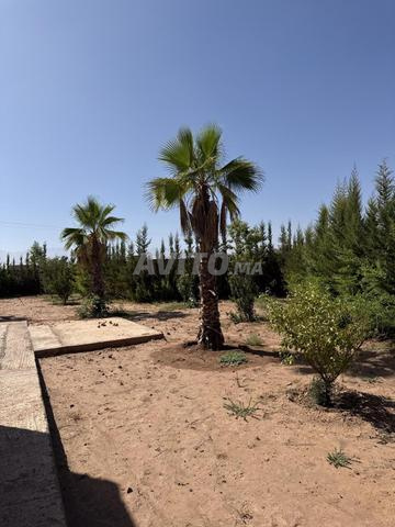 Villa semi finis avec piscine 